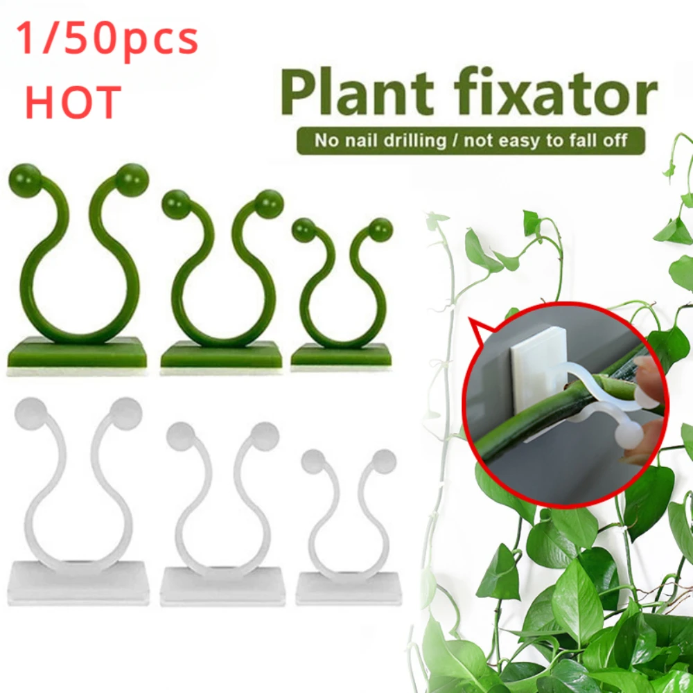 Outdoor Lighting Traditional - 植木鉢とプランター,クライミングウォール,屋外装飾ランプ,植物のサポート,つるクリップアクセサリー,1個,30個,50個