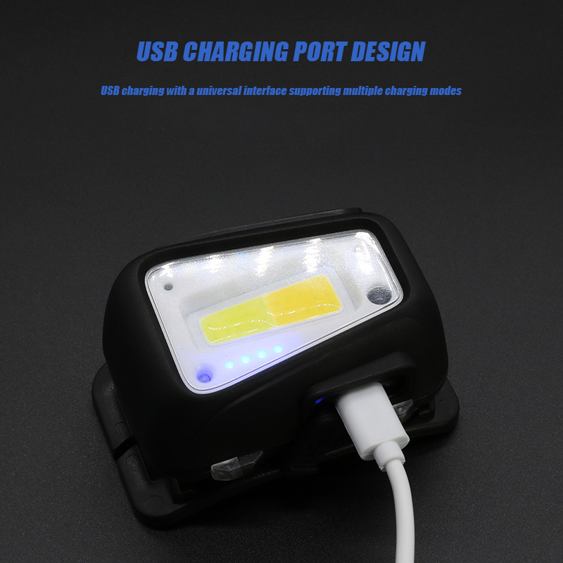VOLODYMYR 防水 COB LED ヘッドランプ モー - Outdoor Lighting With Motion Sensor のレビューと価格